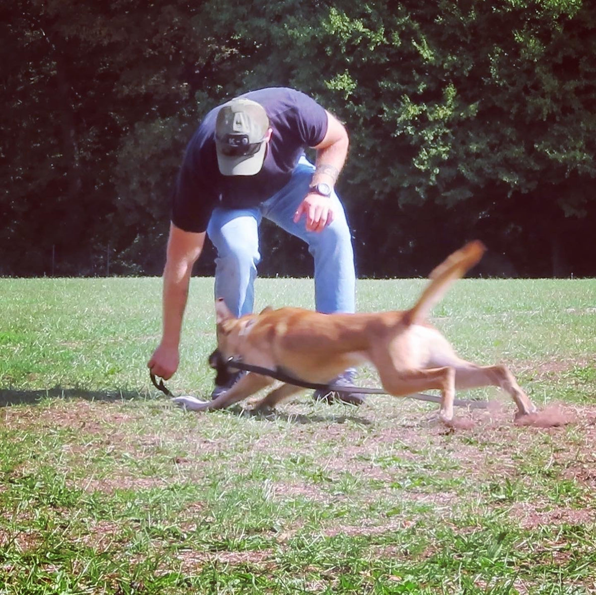 Chasing Game beim Hund – Beutemotivation, Spiel und Verstärker systematisch aufbauen