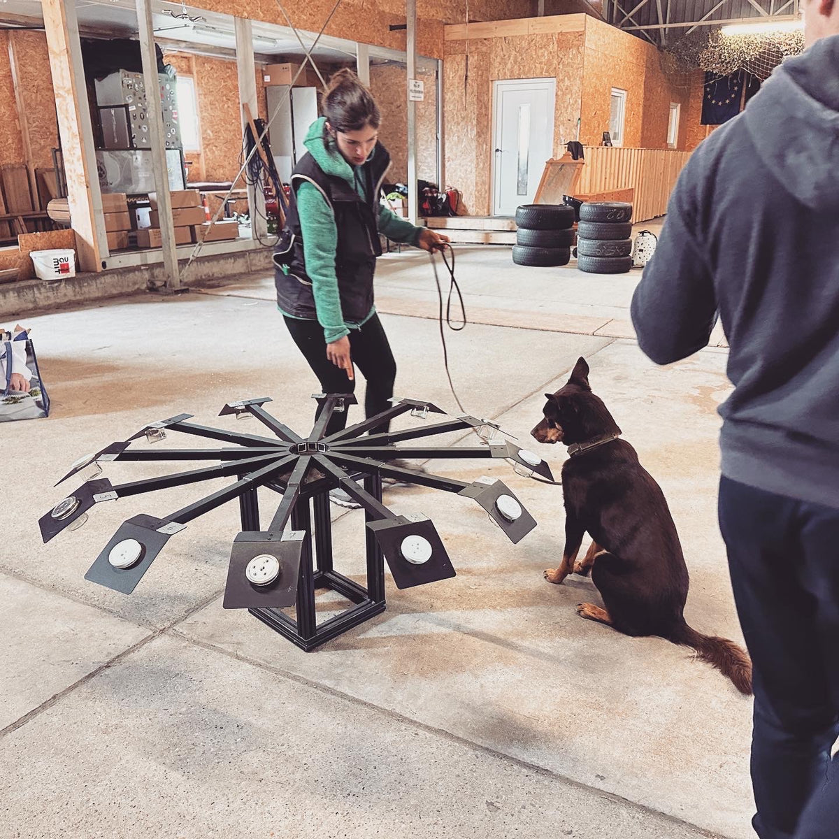 Absolventen des Kynotec Grundkurses bei der Spürhundeausbildung
