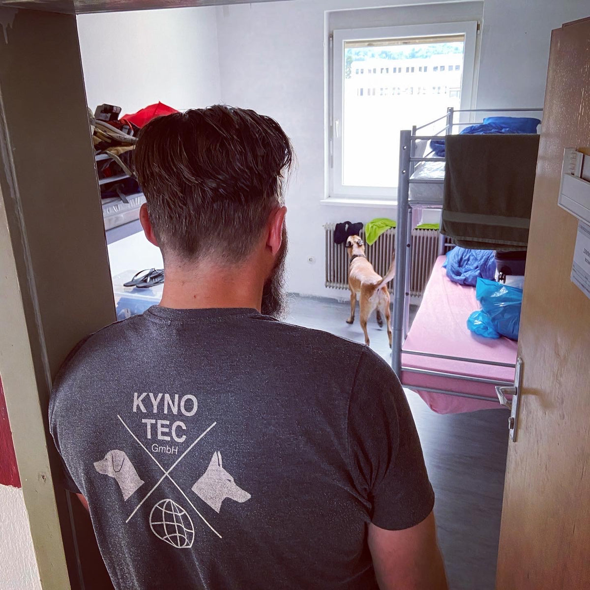 Kynotec Bettwanzenspürhund bei der präventiven Kontrolle eines Schlafraums
