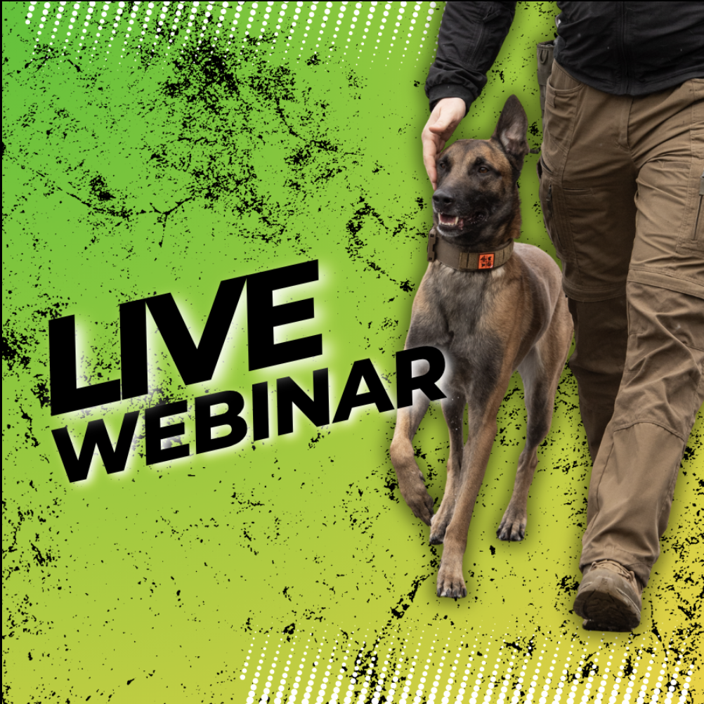 LIVE - Webinar "Gehorsam - Handtarget Aufbau" am 11. August 2026