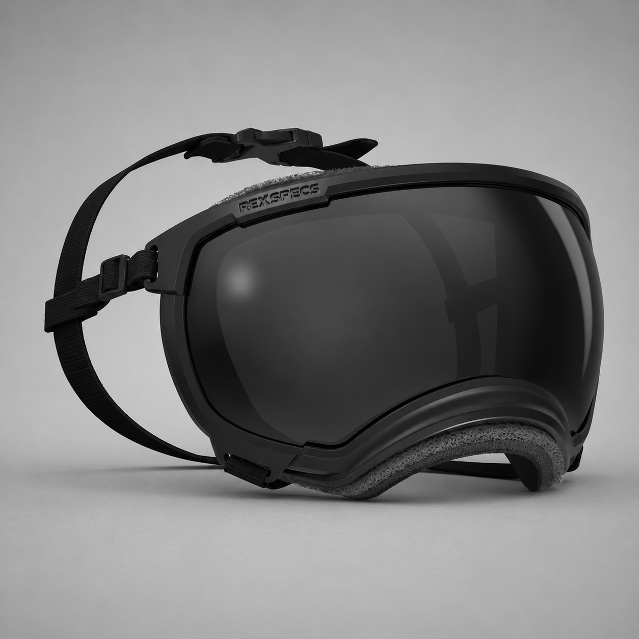 Hundebrille V2