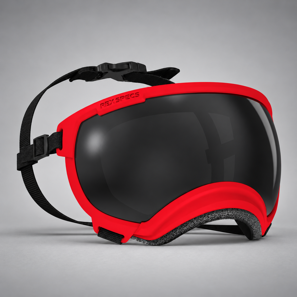 Hundebrille V2