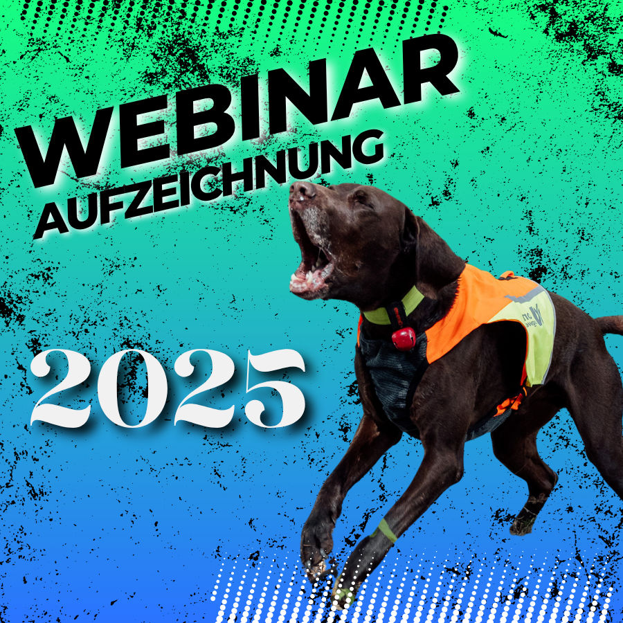 SPÜRHUND Alternative Anzeigeverhalten 25