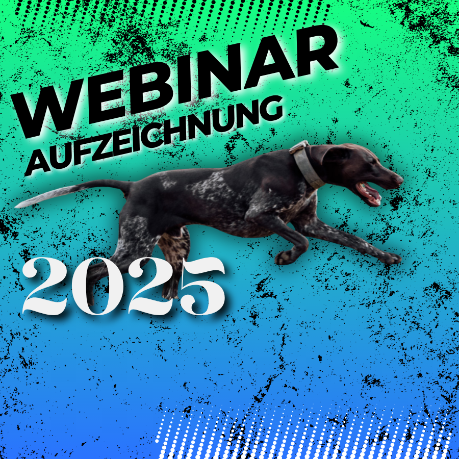 SPÜRHUND Bodensuche - Aussenbereiche 25