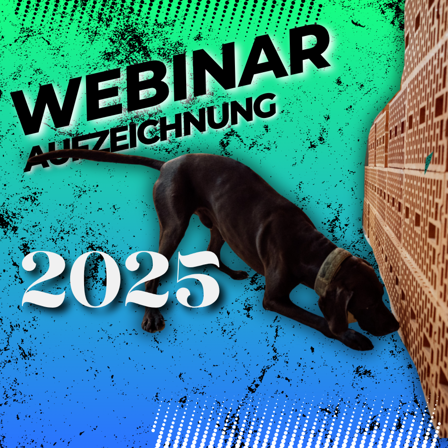 SPÜRHUND Ziegelwand 25