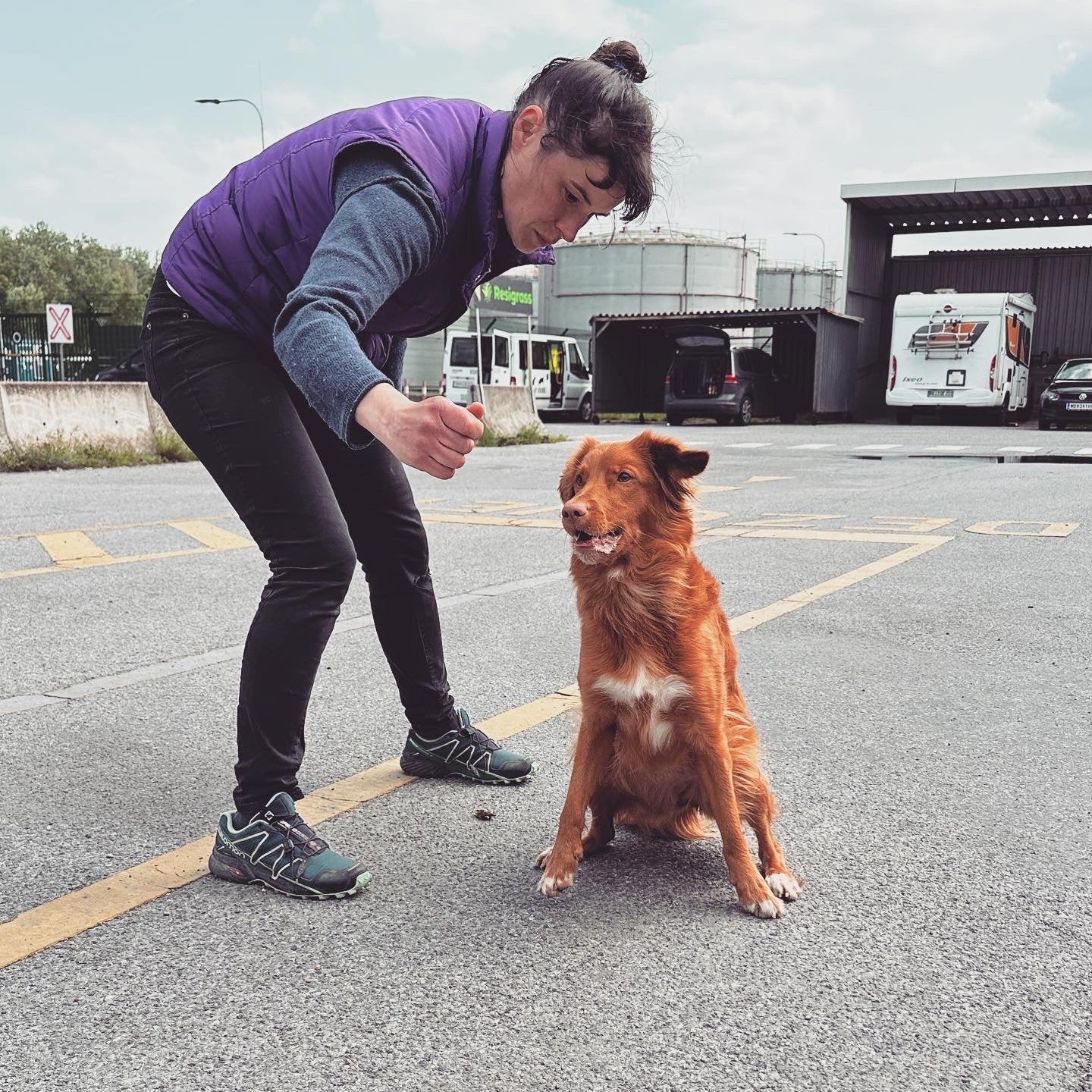 Spürhund 2a - Anzeigeaufbau Trainingsstoff Beute