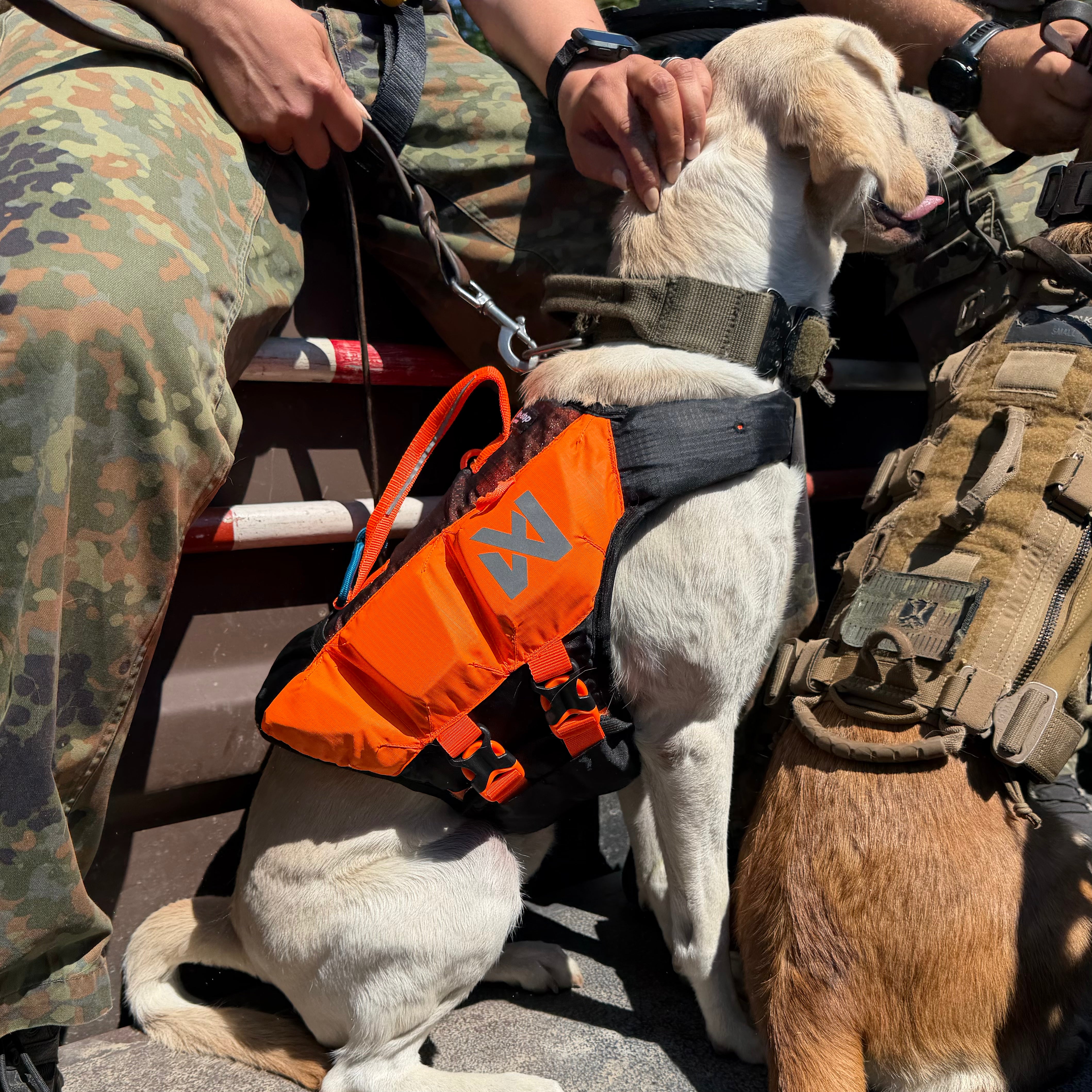 Non-stop dogwear Protector Life Jacket Schwarz-Orange am Labrador bei der Diensthundeausbildung auf einem Boot
