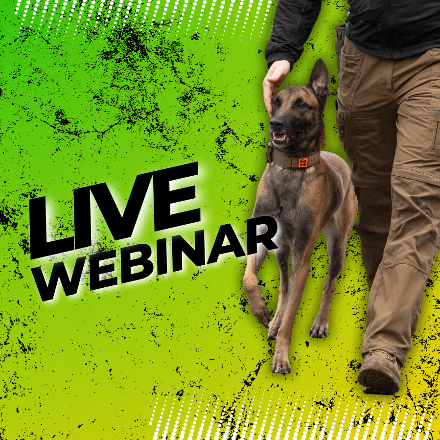 Live Webinare
