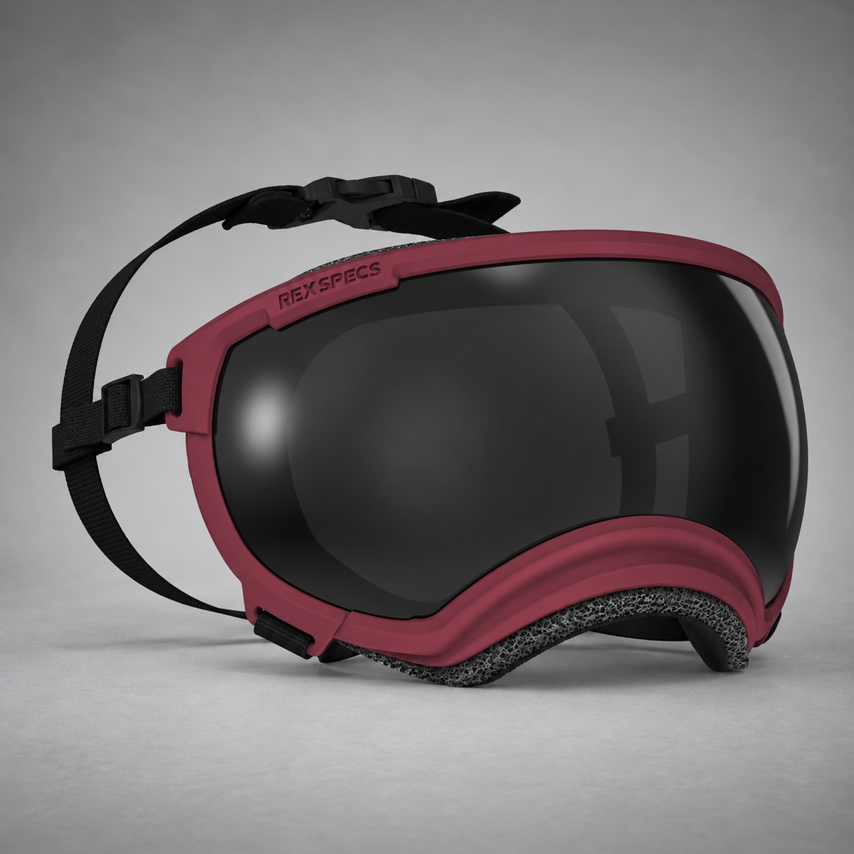 Hundebrille V2