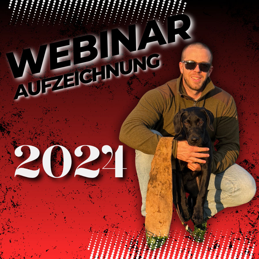 GRUNDLAGEN Vom Welpen zum Arbeitshund 24