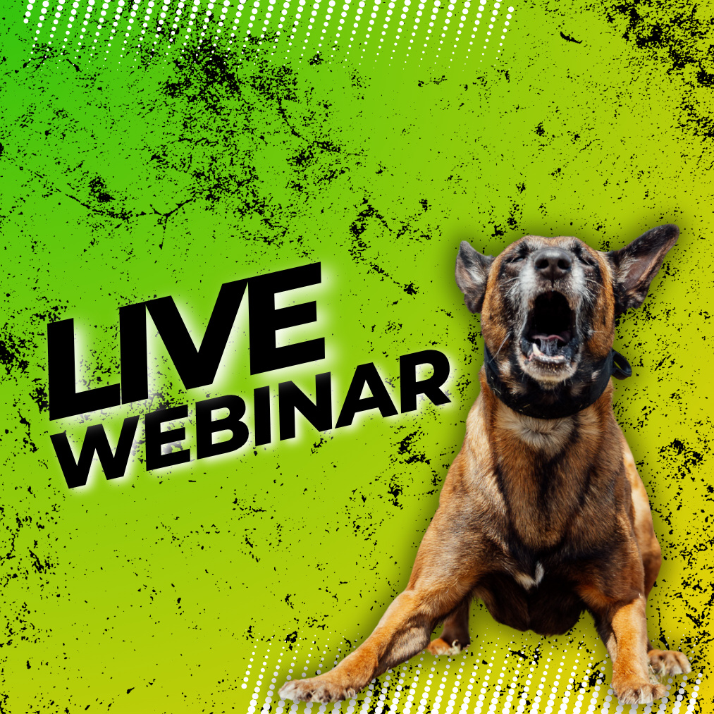 LIVE - Webinar "RETTUNGSHUND Abstand halten für Verbeller" am 03.12.2006