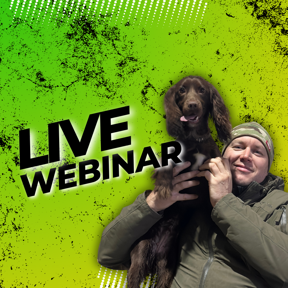 LIVE - Webinar "GRUNDLAGEN Welpentraining" am 30.10.2026