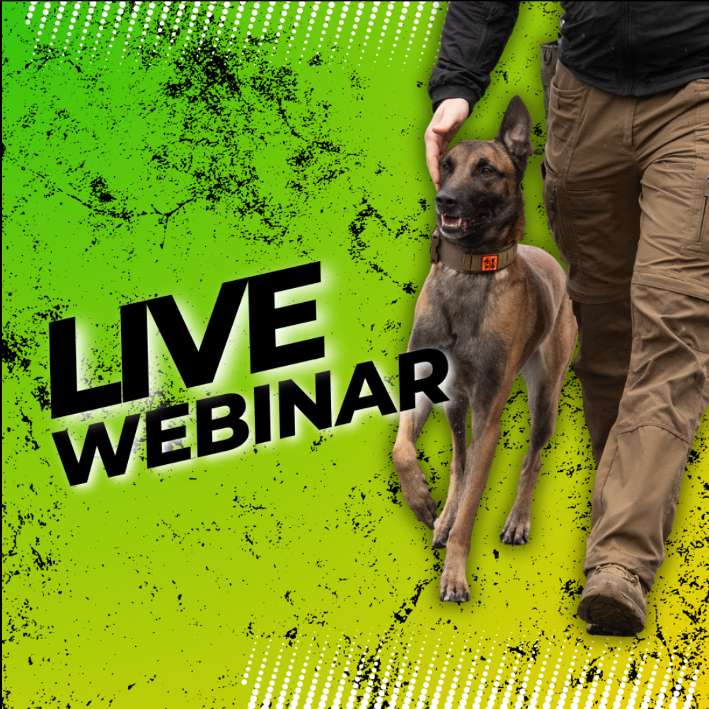 LIVE - Webinar "Gehorsam - Handtarget Aufbau" am 11. August 2026