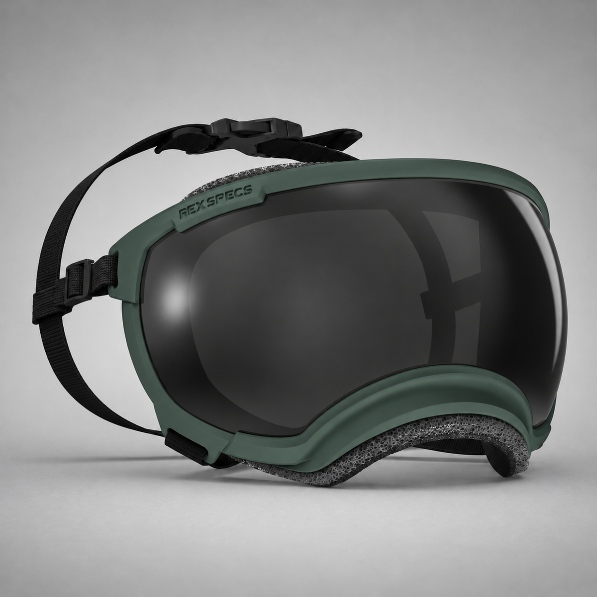 Hundebrille V2