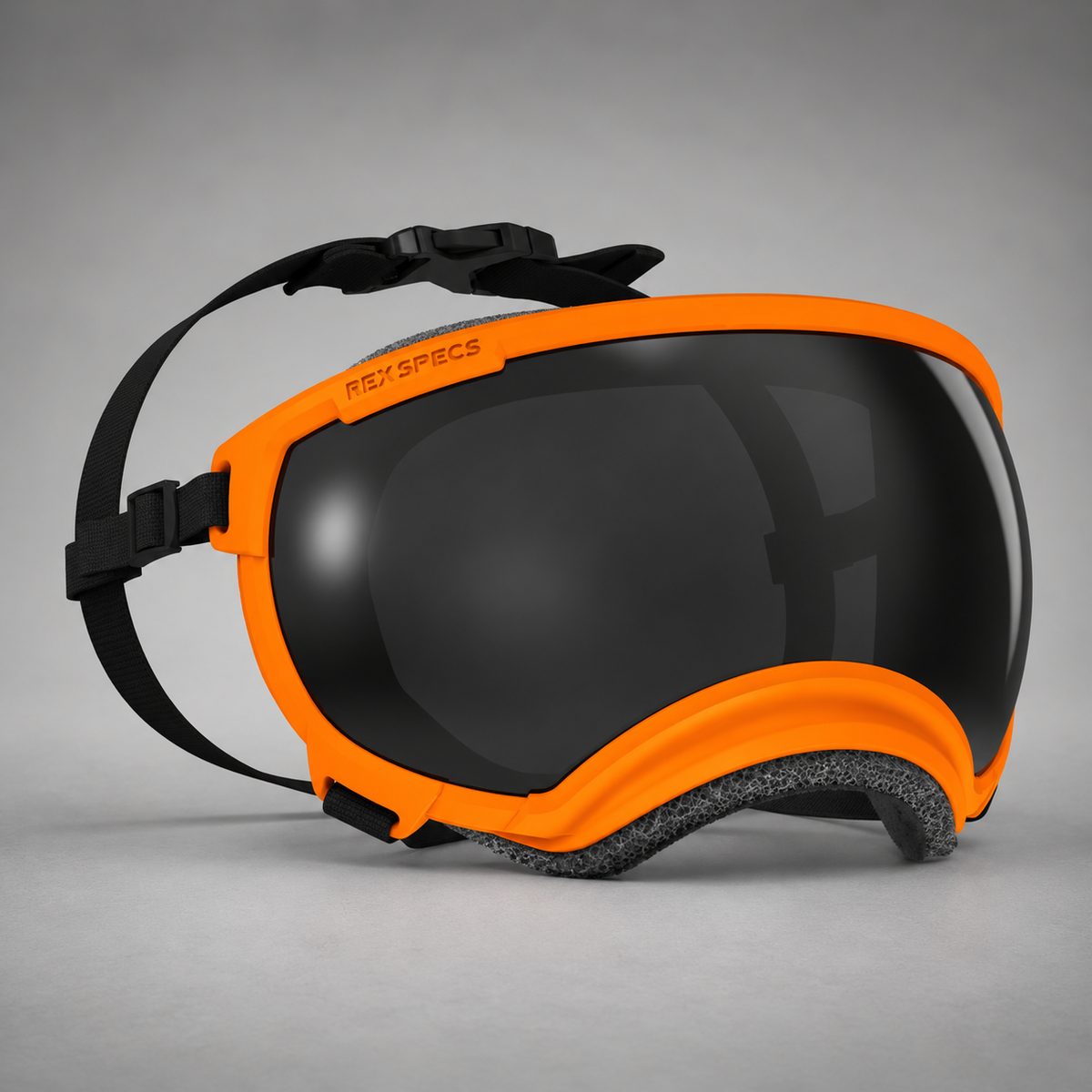 Hundebrille V2