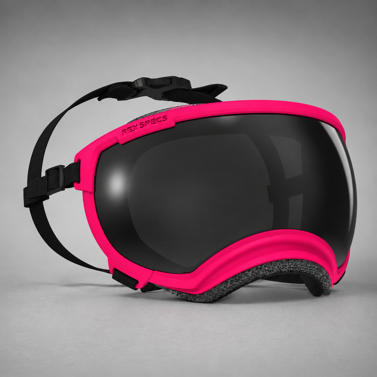 Hundebrille V2