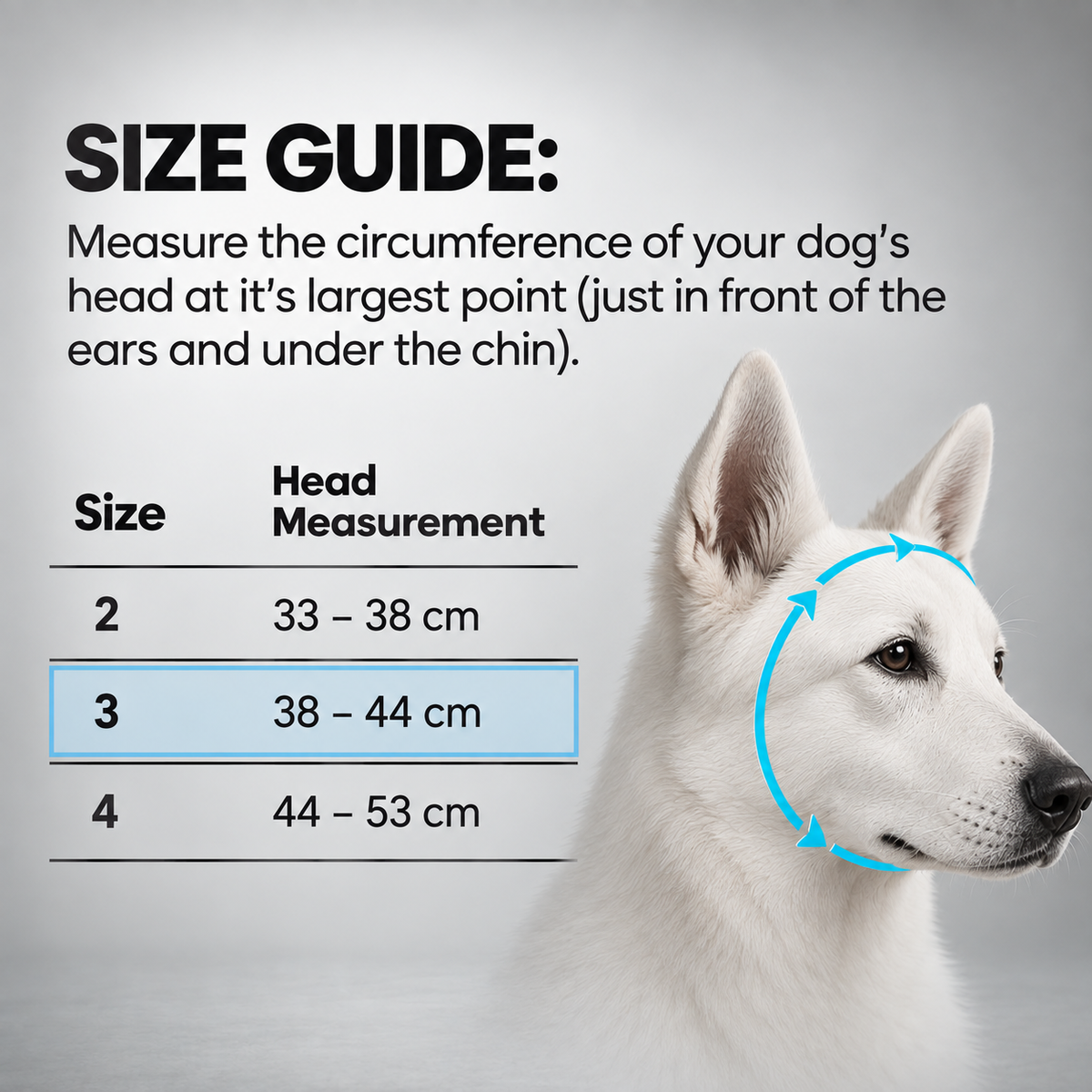 Ear Pro