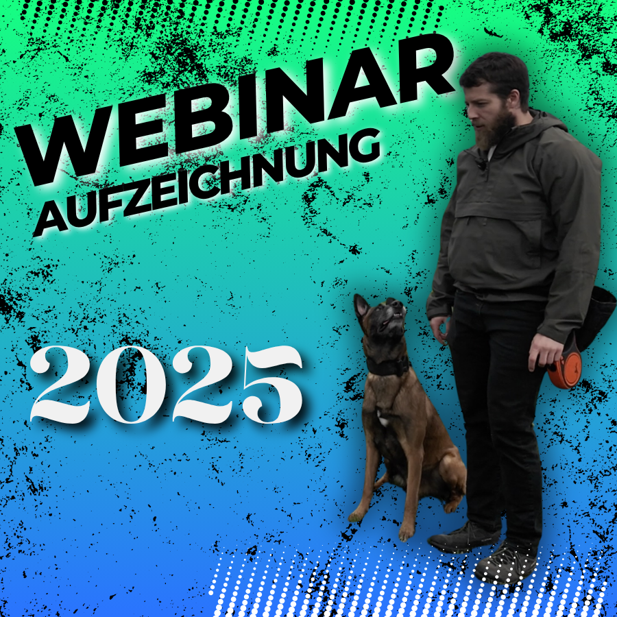 SPÜRHUND Algorithmen und Problemlösung 25