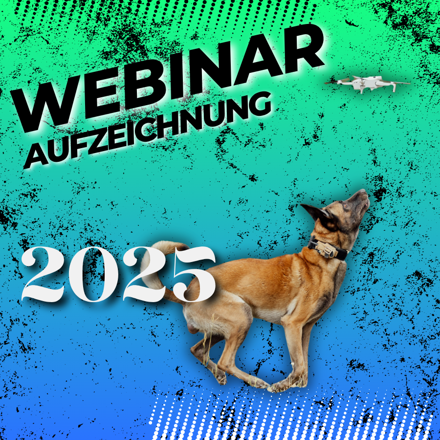 SPÜRHUND Distanzarbeit 25
