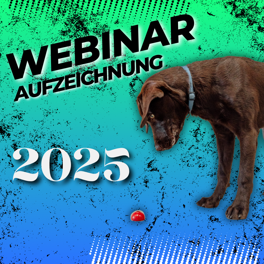 SPÜRHUND Gegenüberstellung Anzeigeaufbau mit Trainings- vs. Echtstoff 25