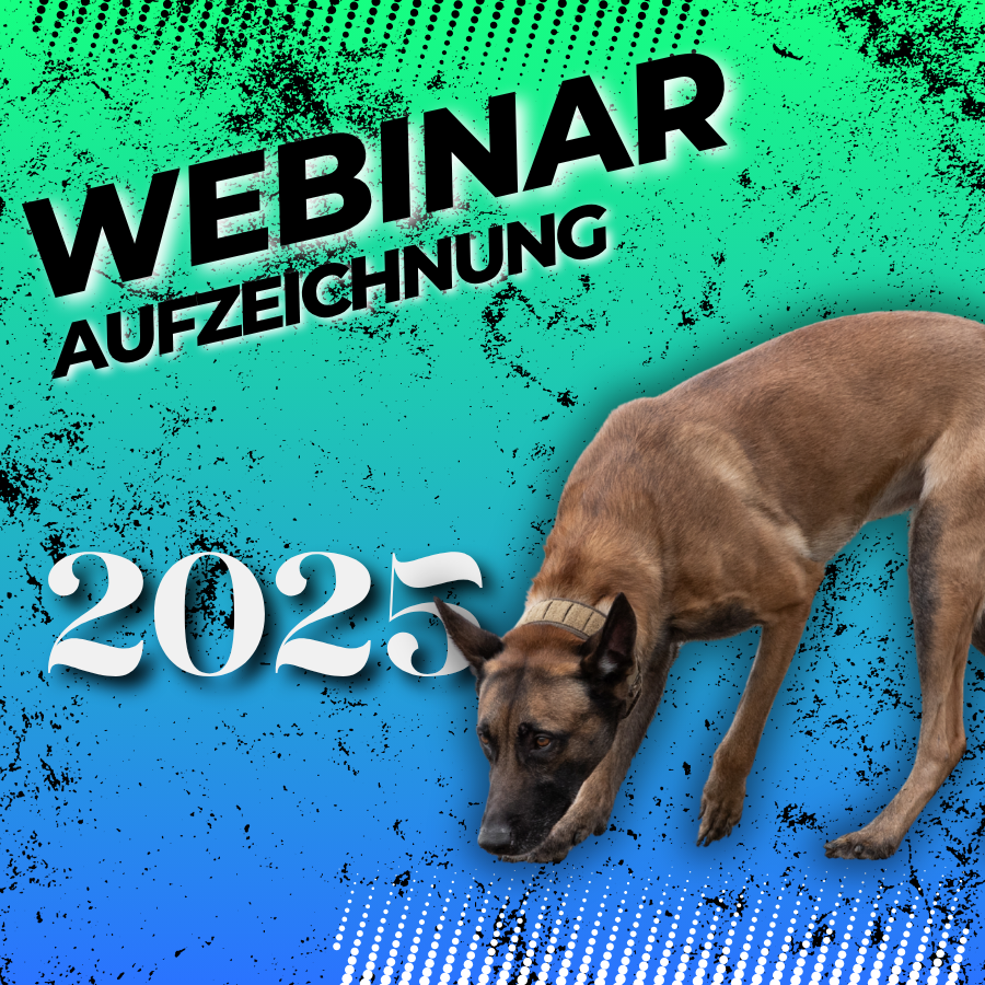 SPÜRHUND Suche neben Verleitern 25