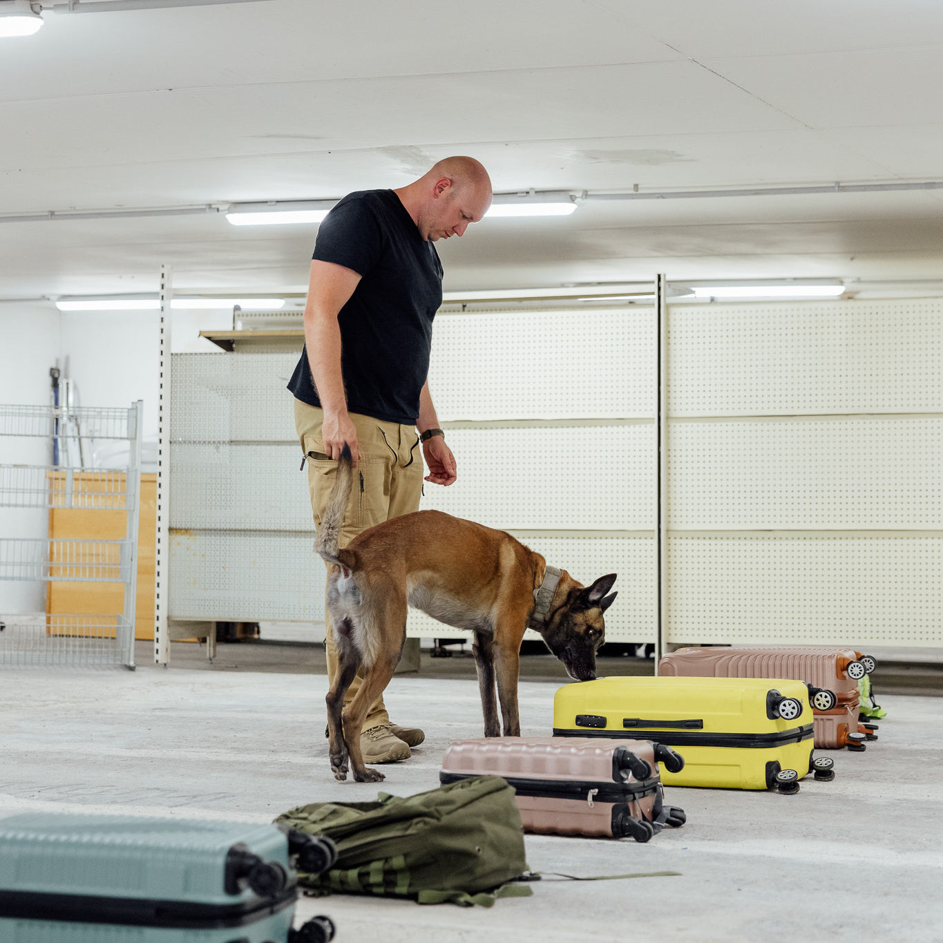 Spürhund 4b Line Up Suche 2 mit Echtstoff