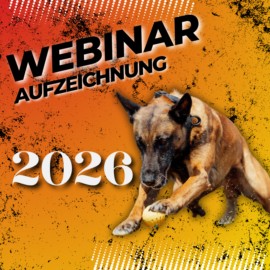 GRUNDLAGEN Hunting Game 26