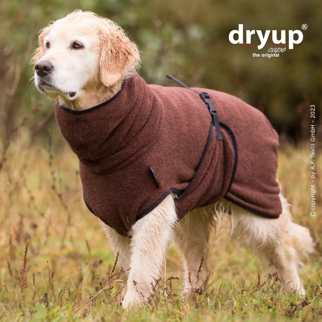 Dryup Cape Standard