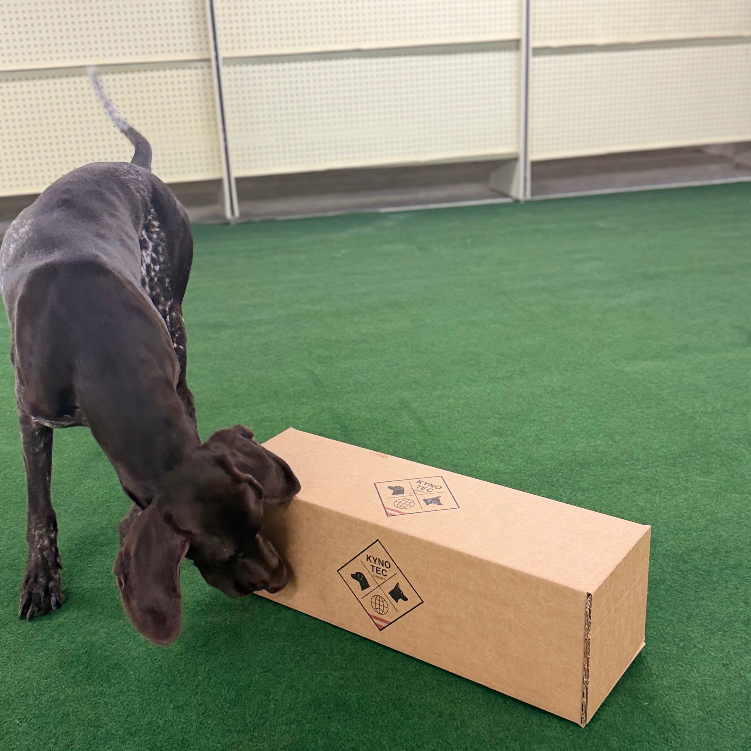 Absuchen des Kynotec Pakets der Blind Sniff Challenge